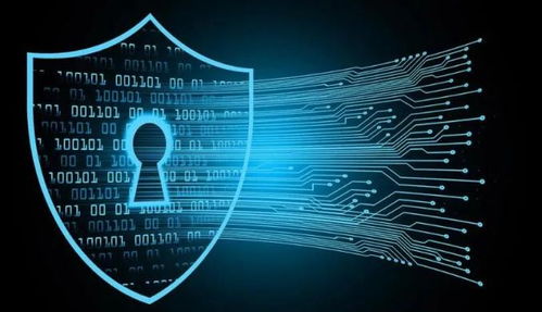 信息系统集成服务中的个人信息自决权 民法典第111条的视角